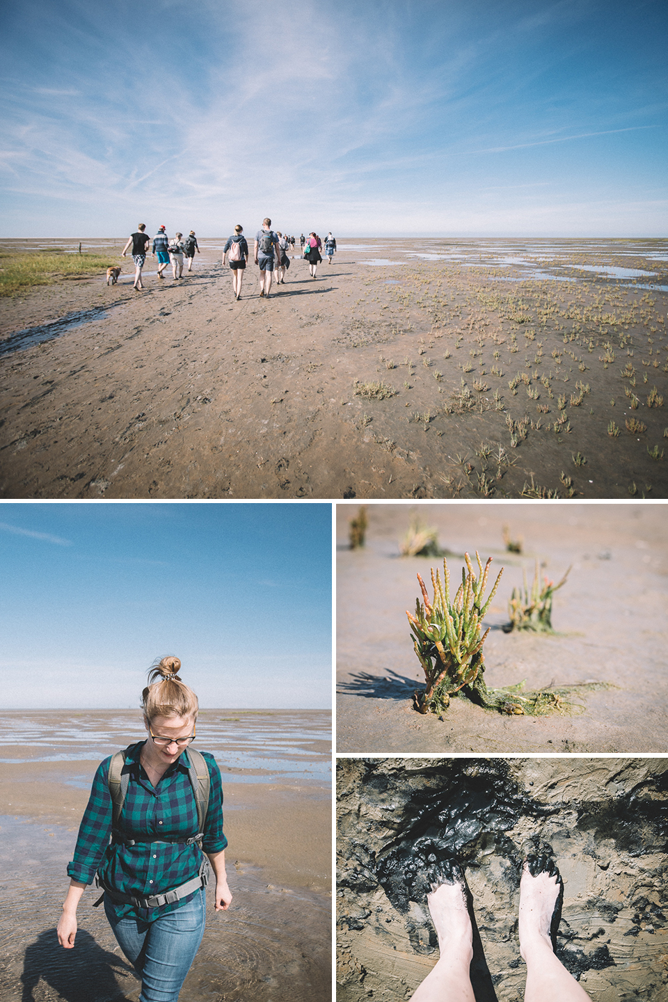 Wattwanderung mit der Schutzstation Wattenmeer beim Westerhever Leuchtturm.