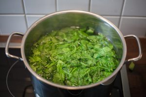 Spinat-blanchieren